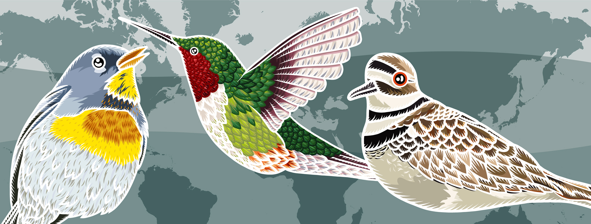 Migratory-Bird-Day_Banner.jpg