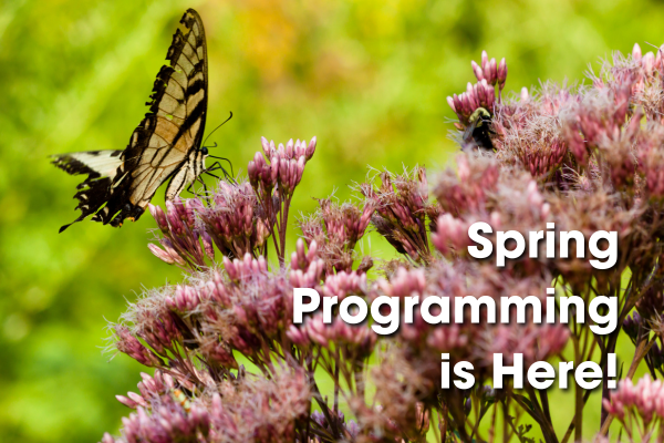 Spring Programming has Arrived!